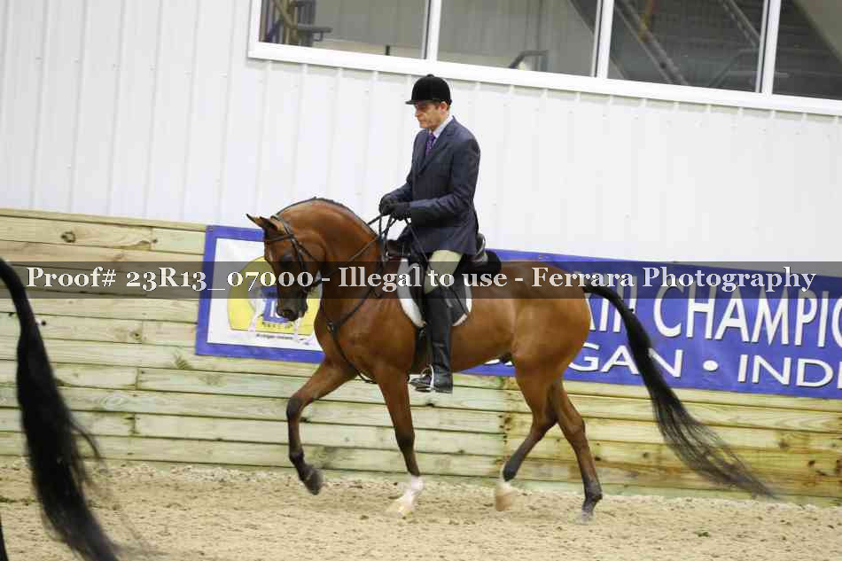 Proof 23R13_07000