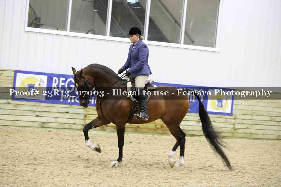 Proof 23R13_07003
