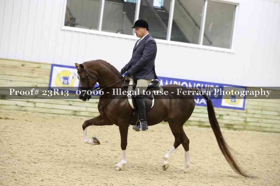 Proof 23R13_07006