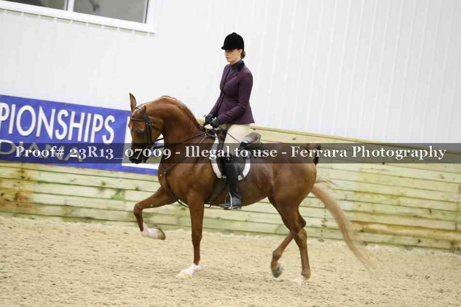Proof 23R13_07009