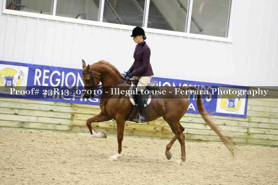 Proof 23R13_07010