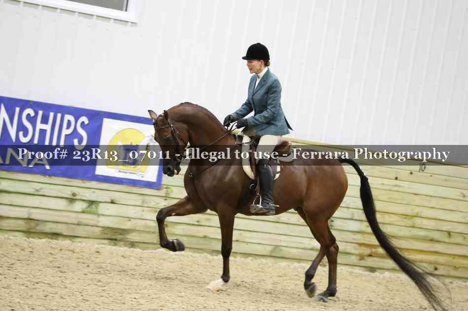 Proof 23R13_07011