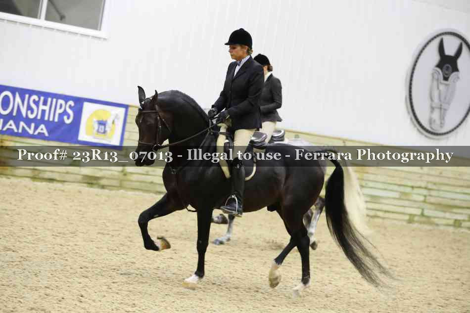 Proof 23R13_07013