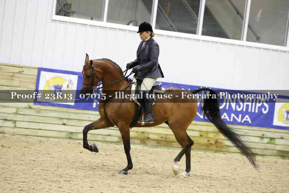 Proof 23R13_07015