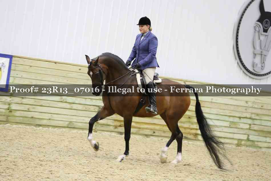 Proof 23R13_07016