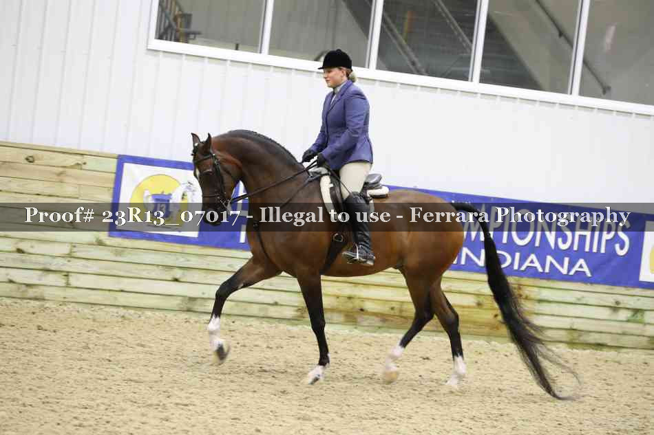 Proof 23R13_07017