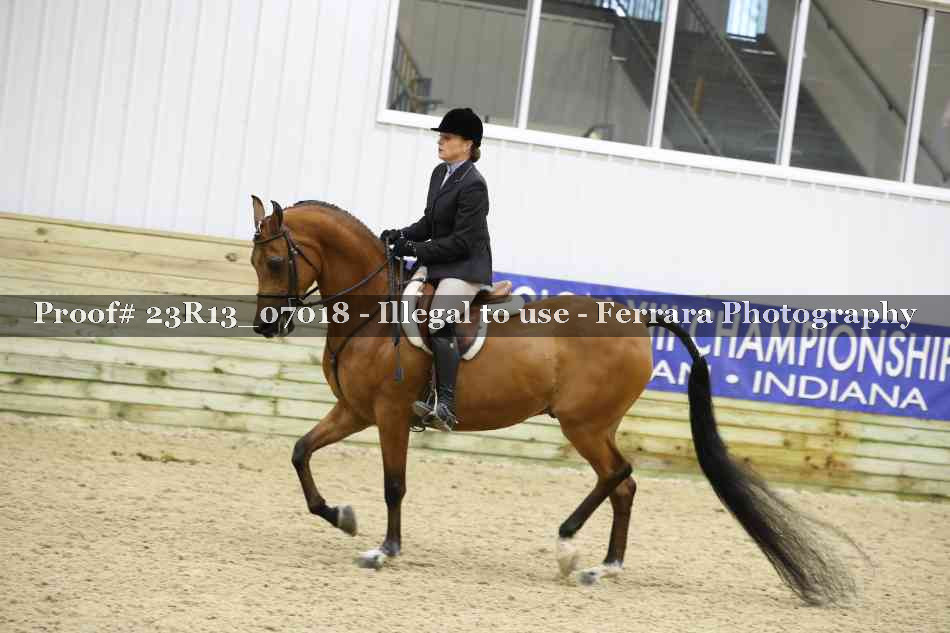 Proof 23R13_07018