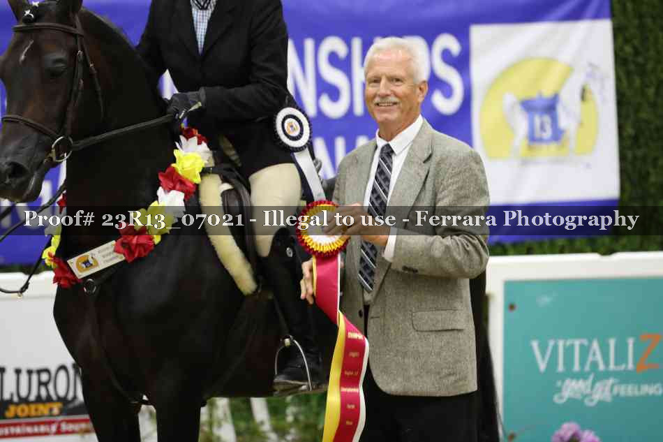 Proof 23R13_07021