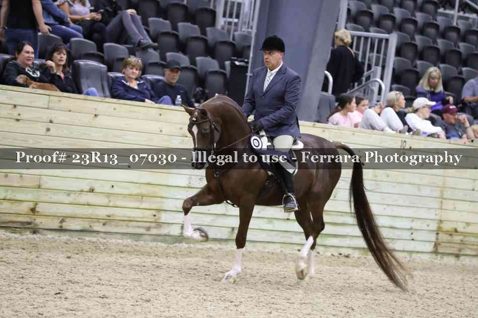 Proof 23R13_07030