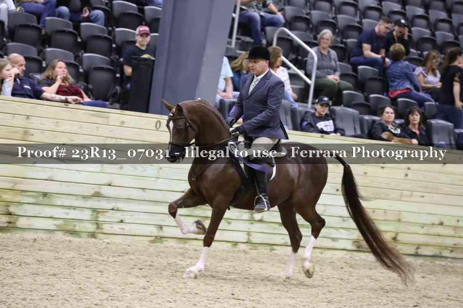 Proof 23R13_07031