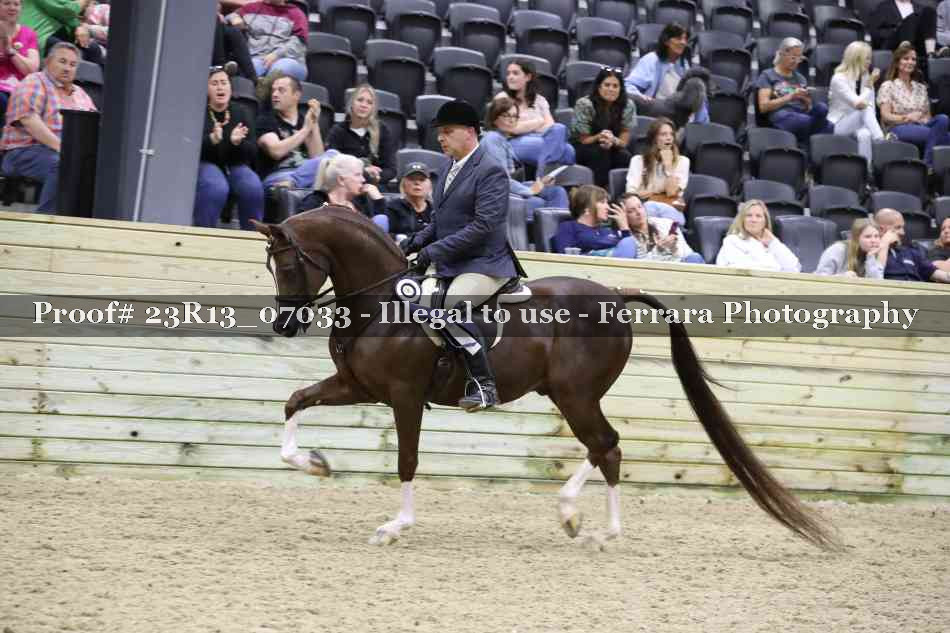 Proof 23R13_07033