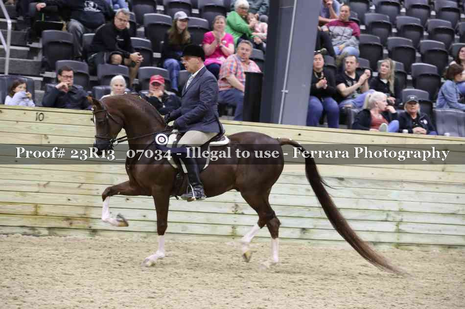 Proof 23R13_07034
