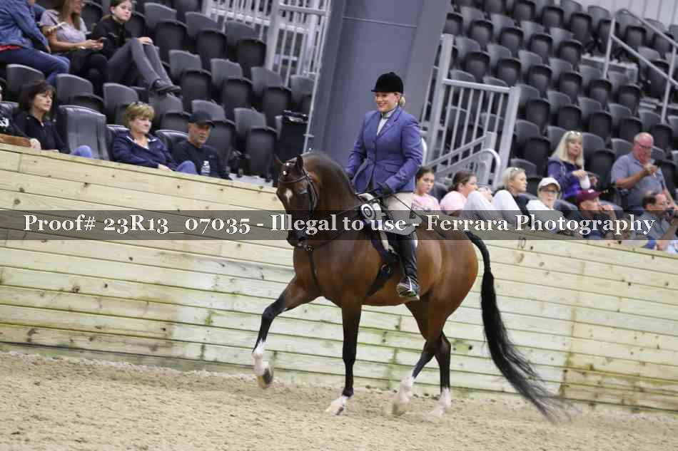 Proof 23R13_07035