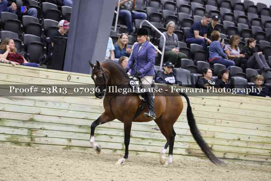 Proof 23R13_07036