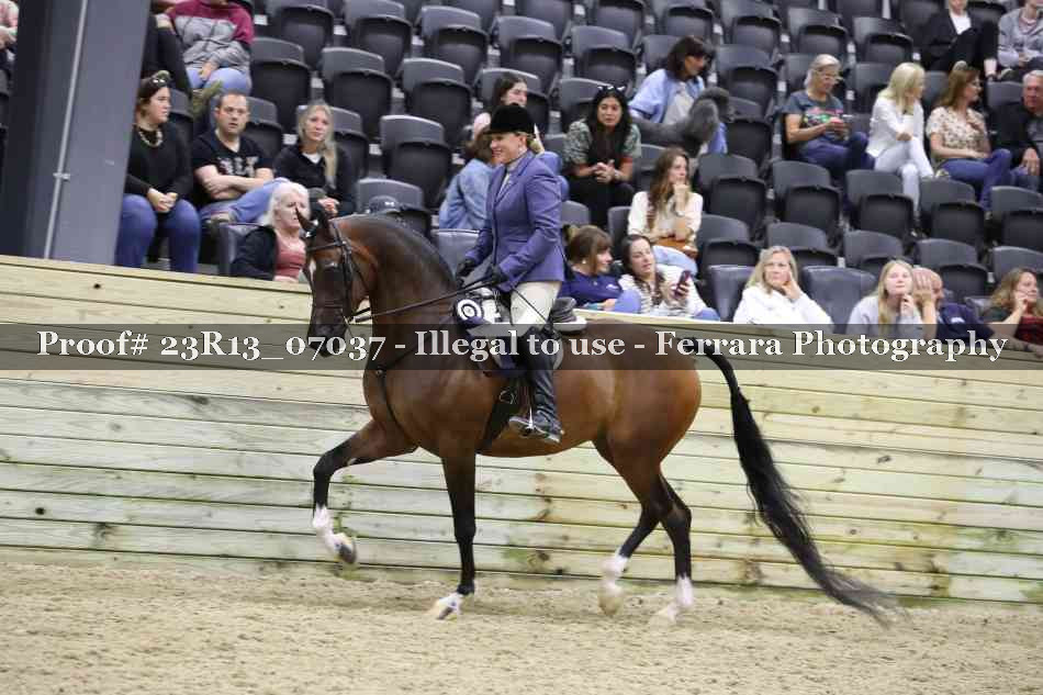 Proof 23R13_07037