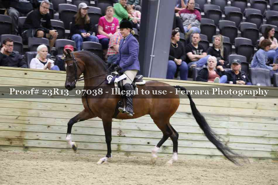 Proof 23R13_07038