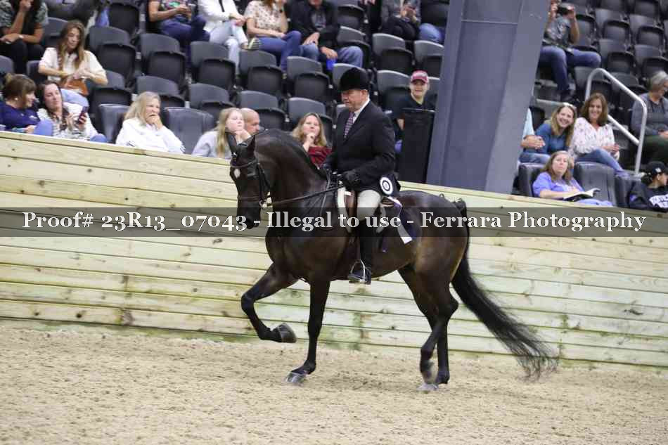 Proof 23R13_07043