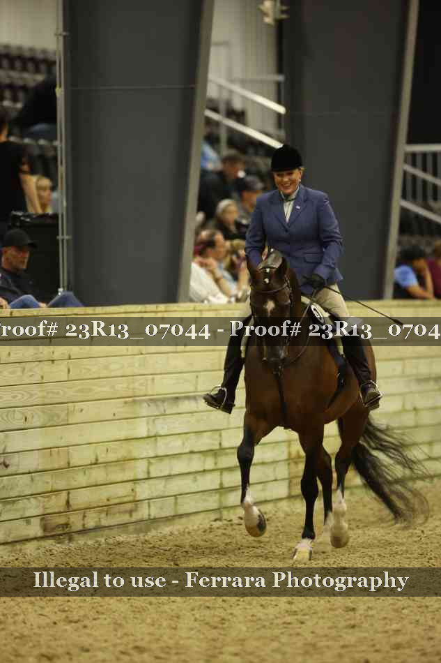 Proof 23R13_07044