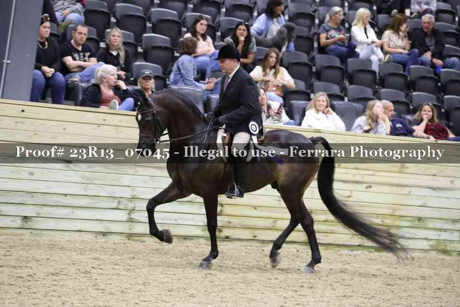 Proof 23R13_07045