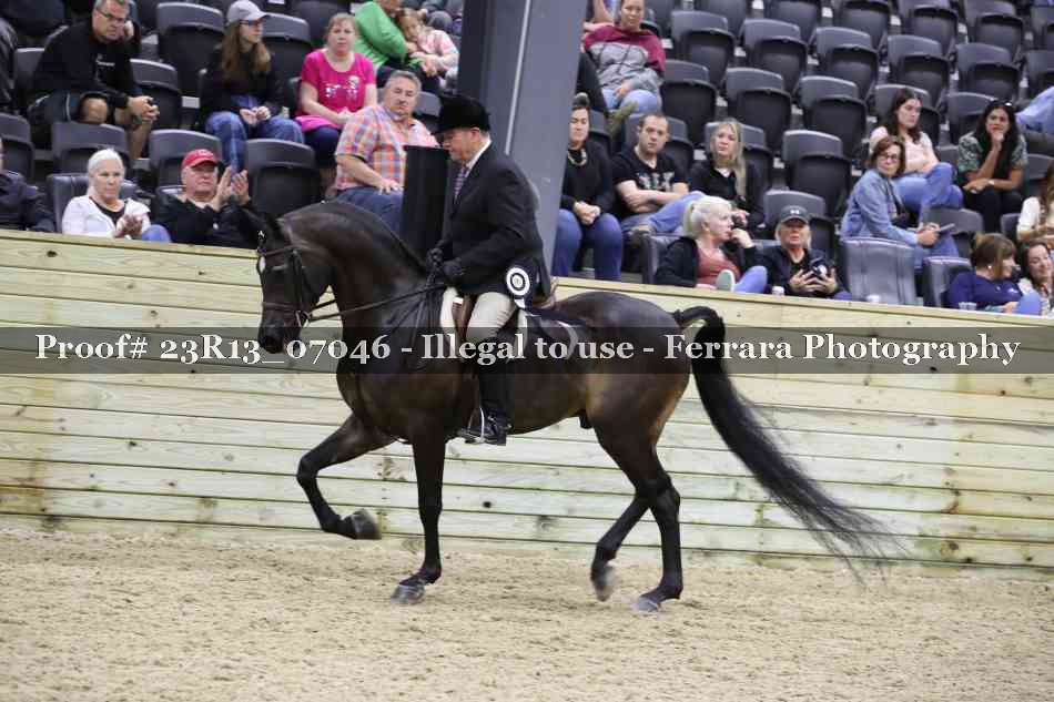 Proof 23R13_07046