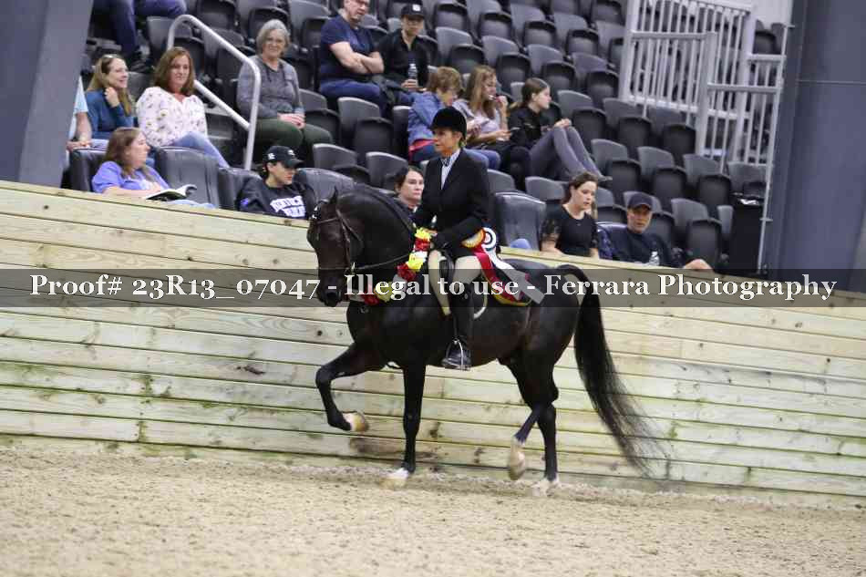 Proof 23R13_07047