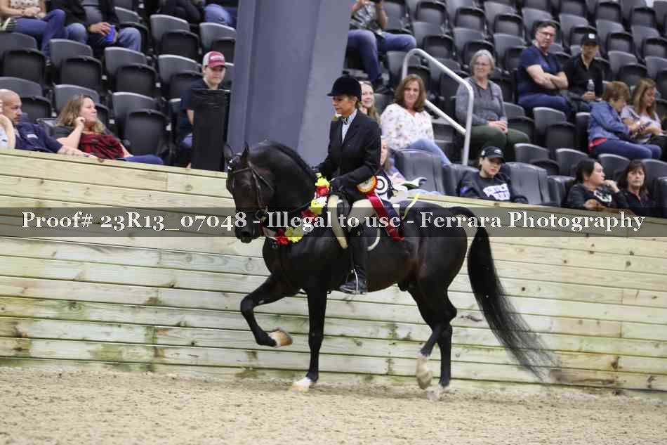 Proof 23R13_07048