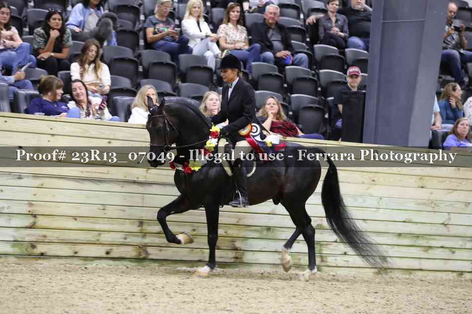 Proof 23R13_07049