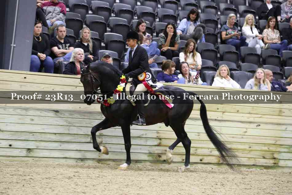 Proof 23R13_07051
