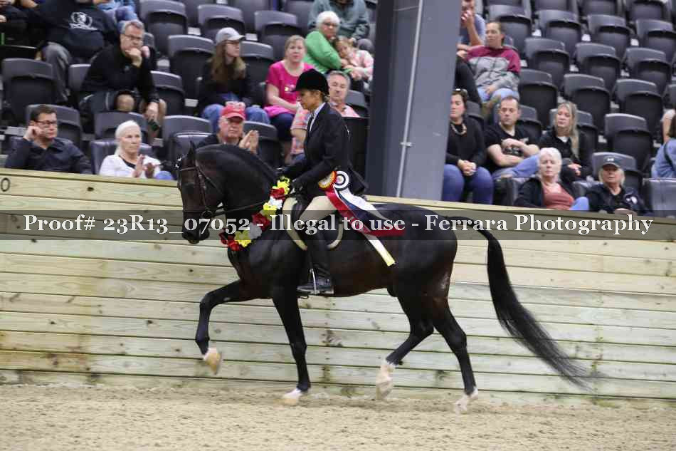 Proof 23R13_07052