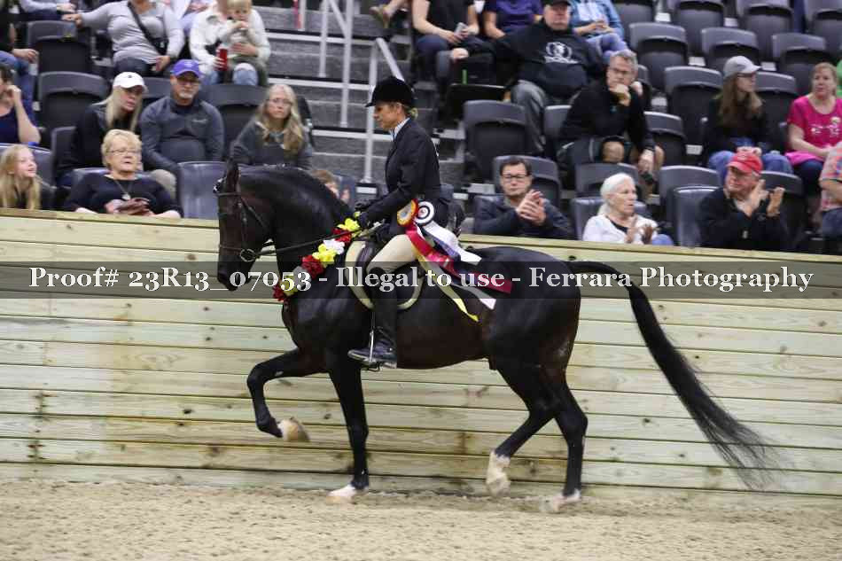 Proof 23R13_07053