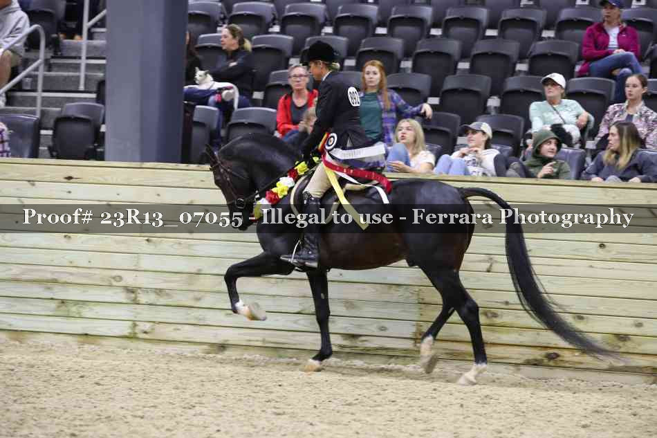 Proof 23R13_07055