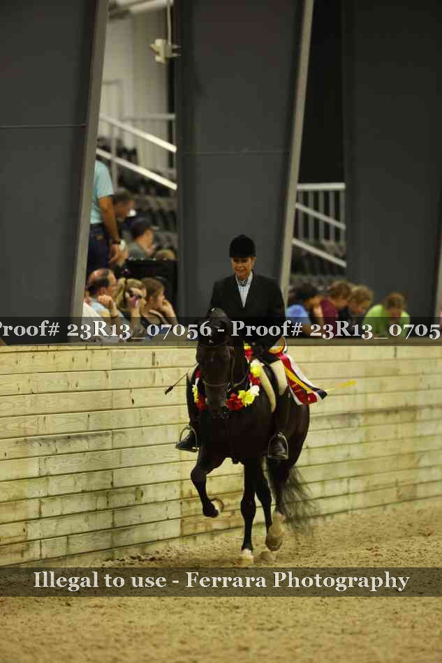 Proof 23R13_07056