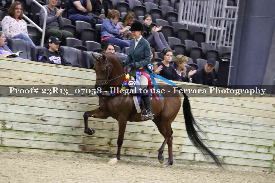 Proof 23R13_07058