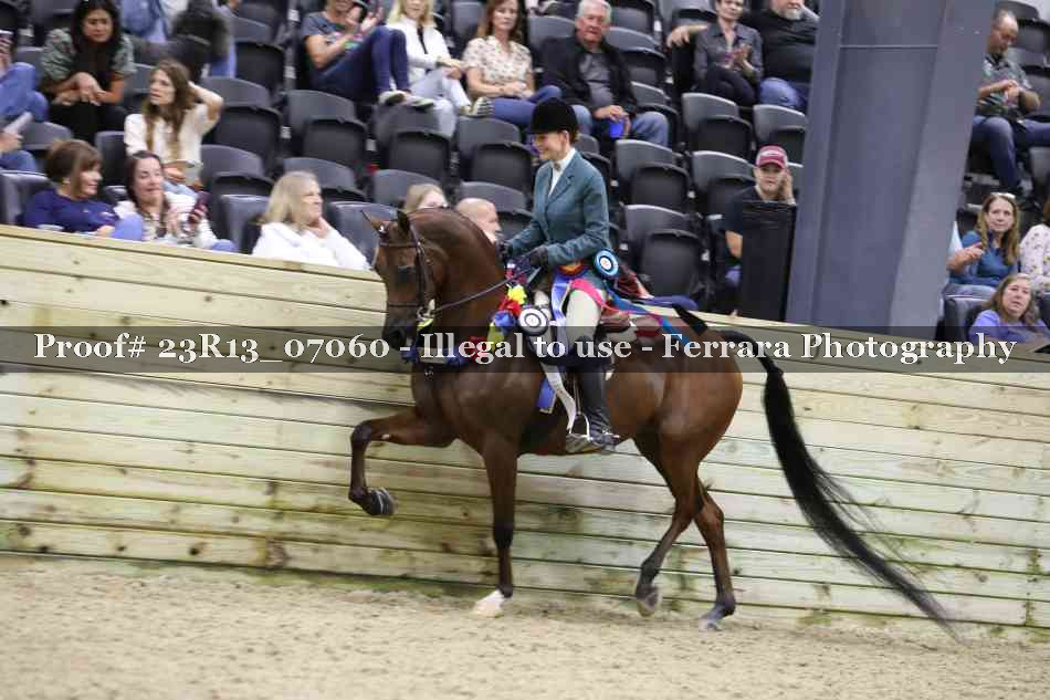 Proof 23R13_07060
