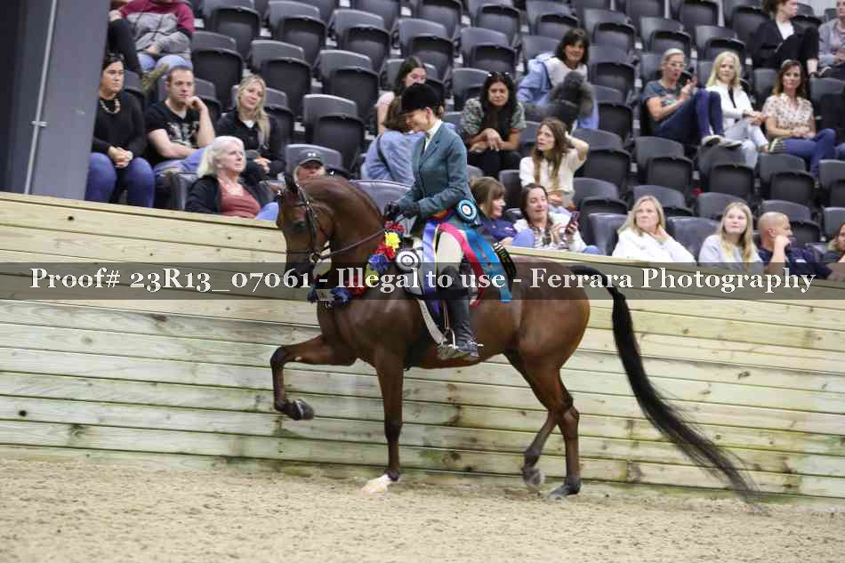 Proof 23R13_07061