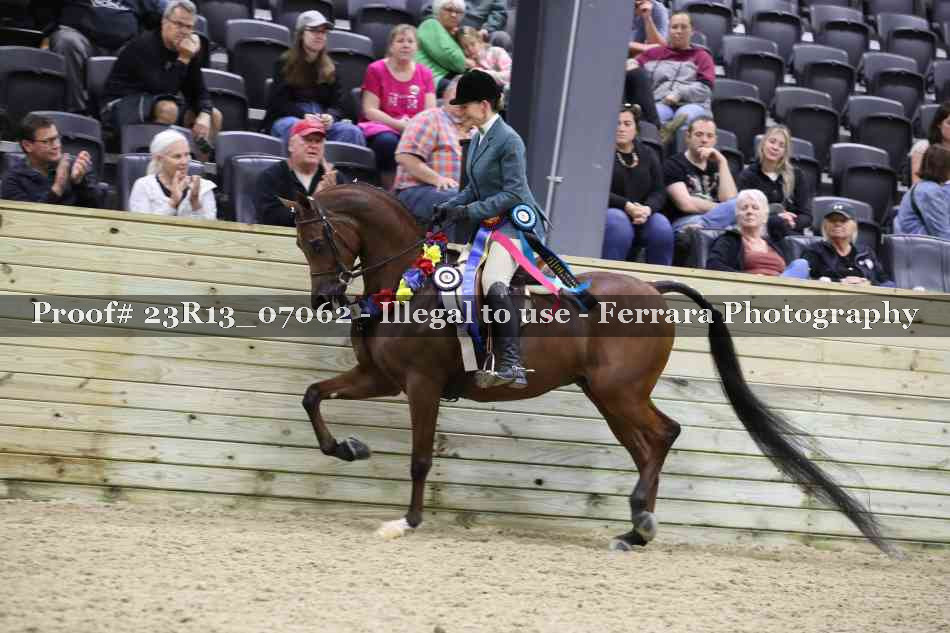 Proof 23R13_07062