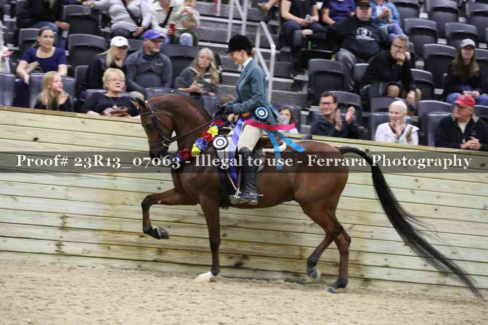 Proof 23R13_07063