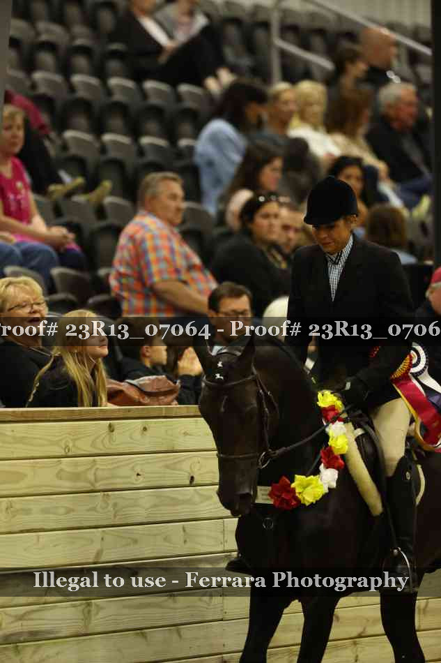 Proof 23R13_07064