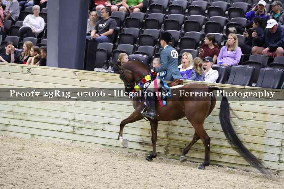 Proof 23R13_07066