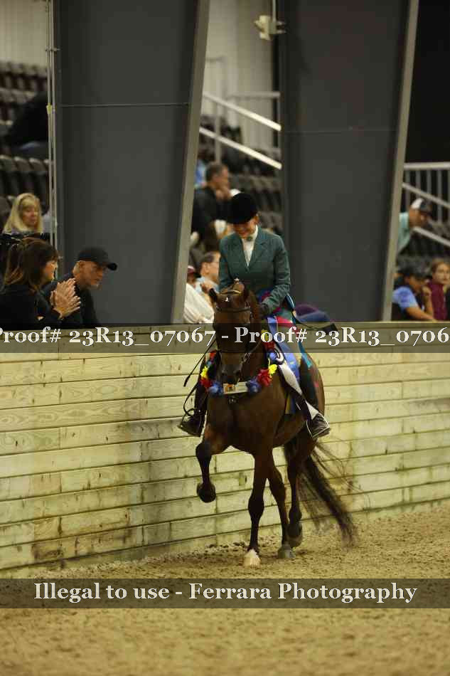 Proof 23R13_07067