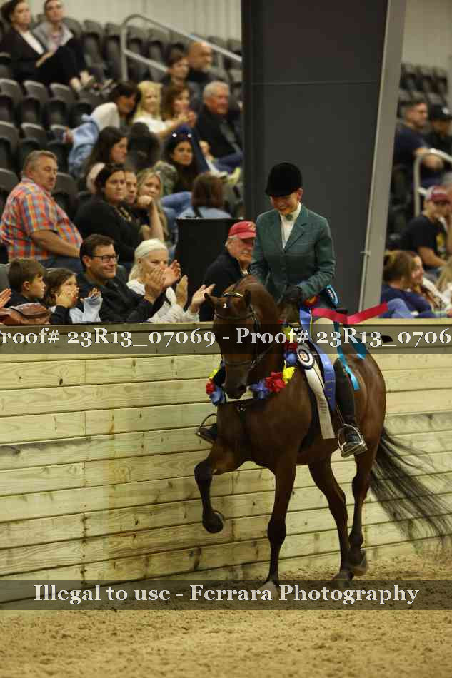Proof 23R13_07069