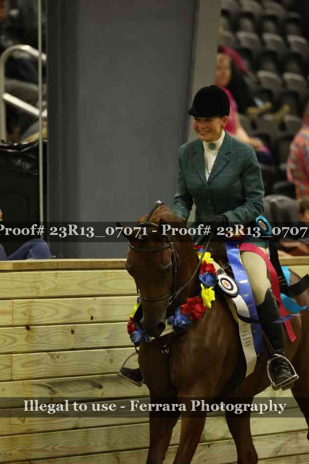 Proof 23R13_07071