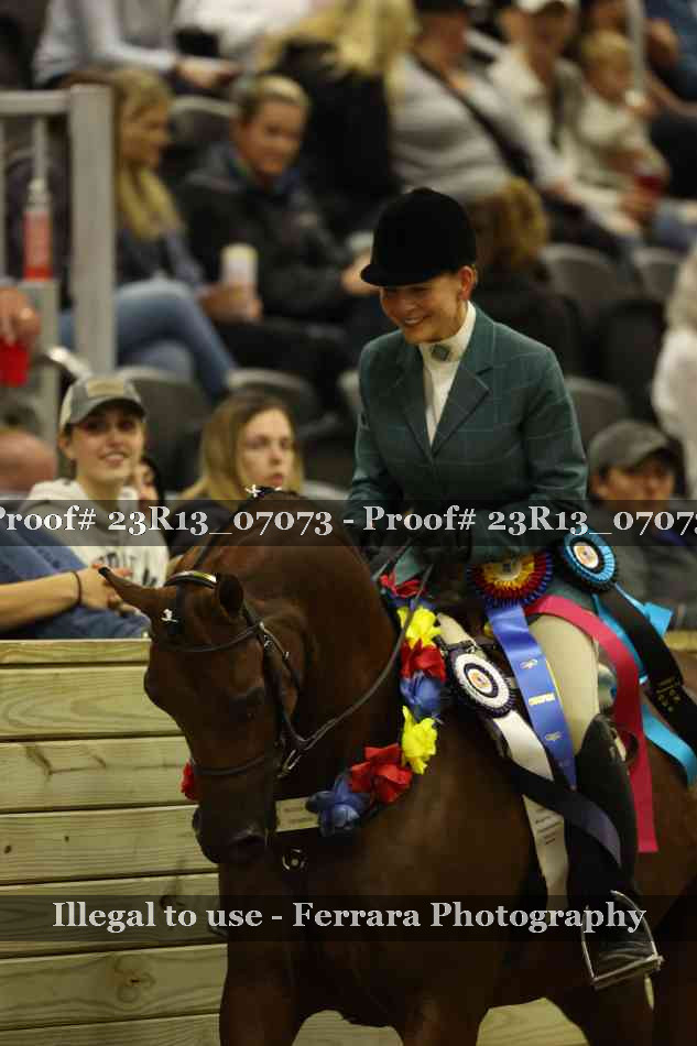 Proof 23R13_07073
