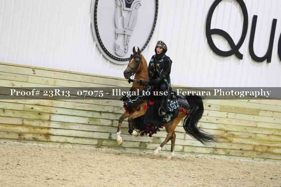 Proof 23R13_07075