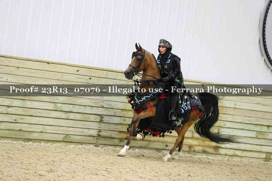 Proof 23R13_07076