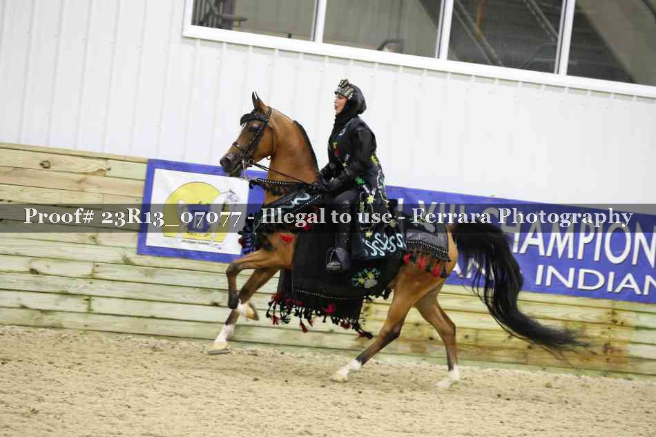 Proof 23R13_07077