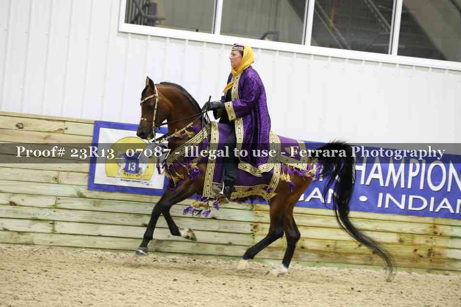 Proof 23R13_07087