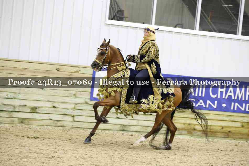 Proof 23R13_07089