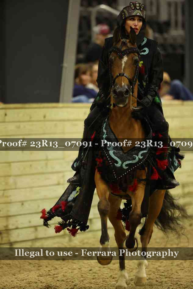 Proof 23R13_07091