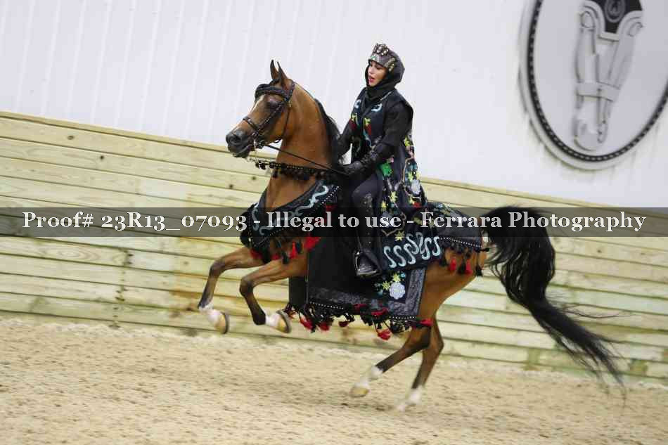 Proof 23R13_07093